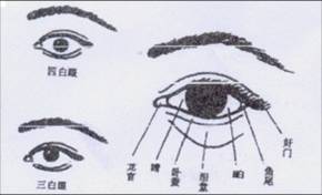 第二官，监察官（眼）