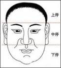 面相算命入门：三停，什么是三停？