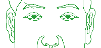 横纹插入眉