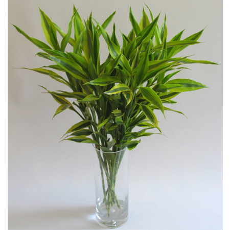 改变命运的方法