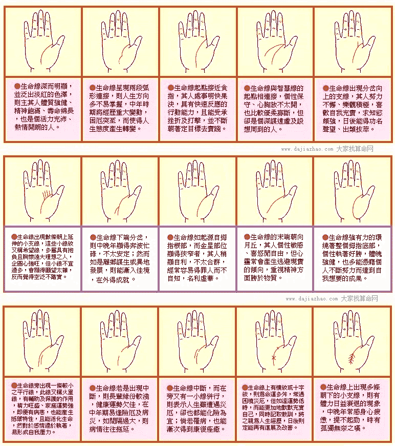 生命线图解1