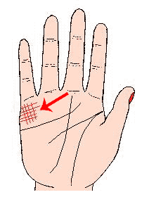 单身的人何时结婚